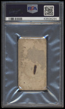 Load image into Gallery viewer, T207 back scan