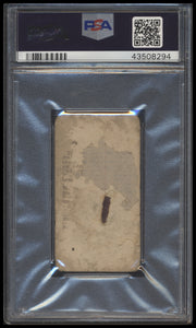 T207 back scan